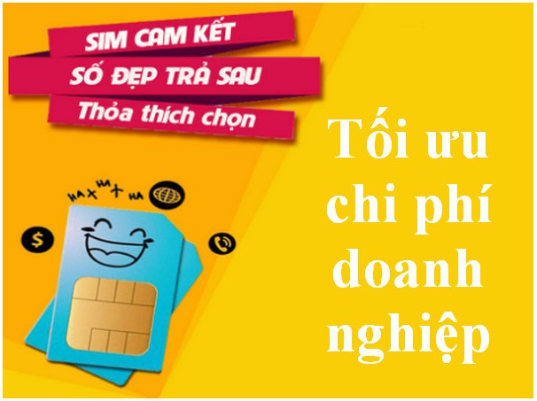Sim cam kết giá rẻ